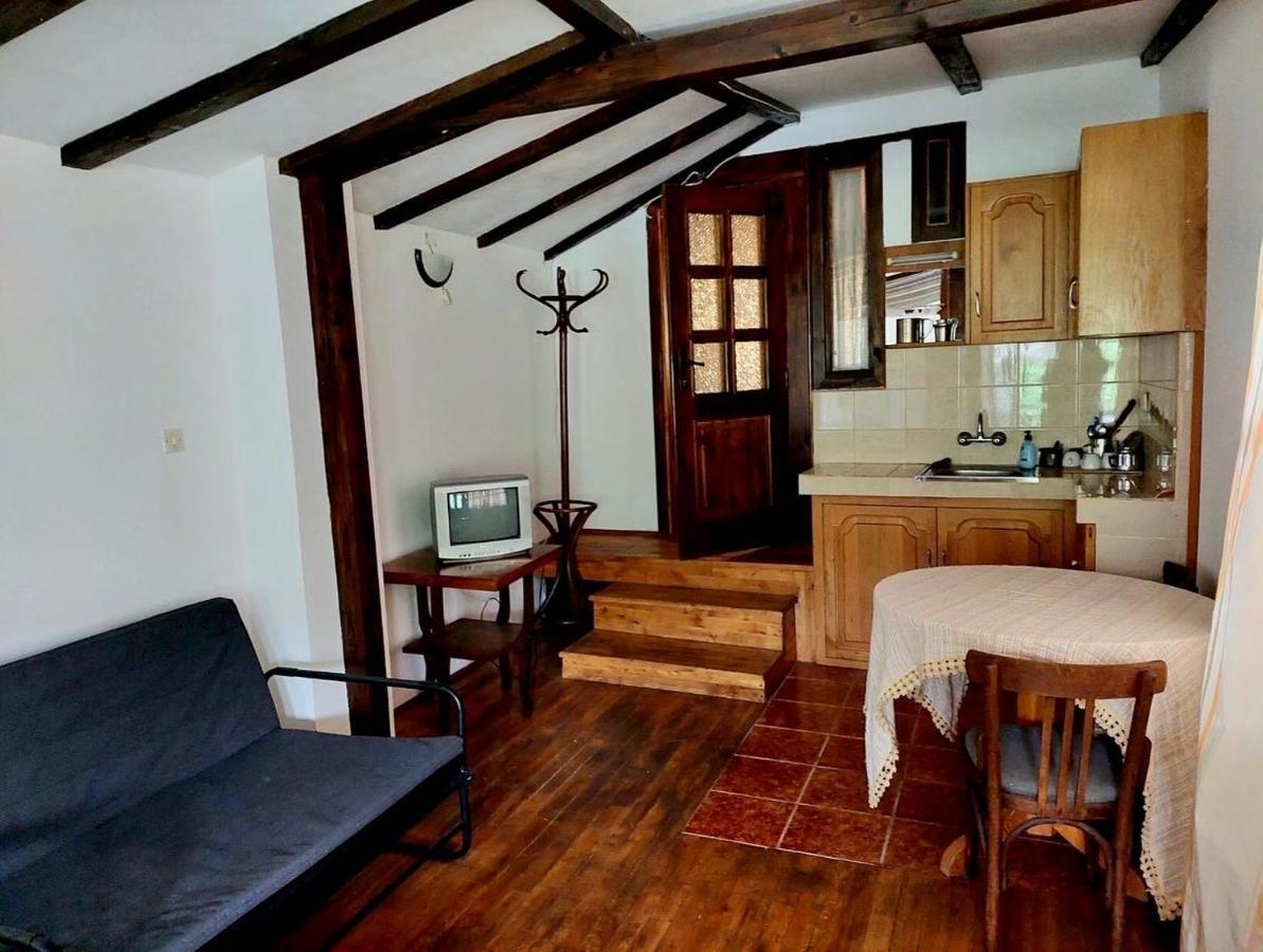 Luylyana Guesthouse Ribarica Zewnętrze zdjęcie