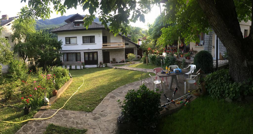 Luylyana Guesthouse Ribarica Zewnętrze zdjęcie