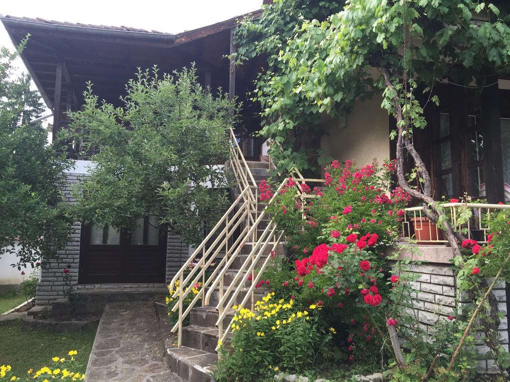 Luylyana Guesthouse Ribarica Zewnętrze zdjęcie