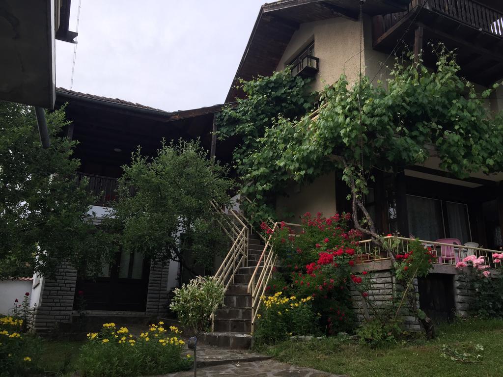 Luylyana Guesthouse Ribarica Zewnętrze zdjęcie