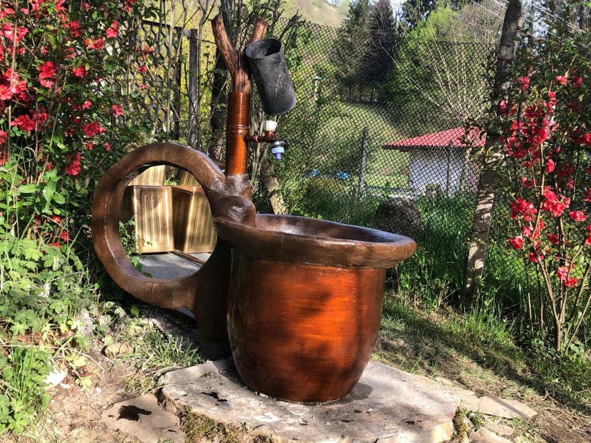 Luylyana Guesthouse Ribarica Zewnętrze zdjęcie