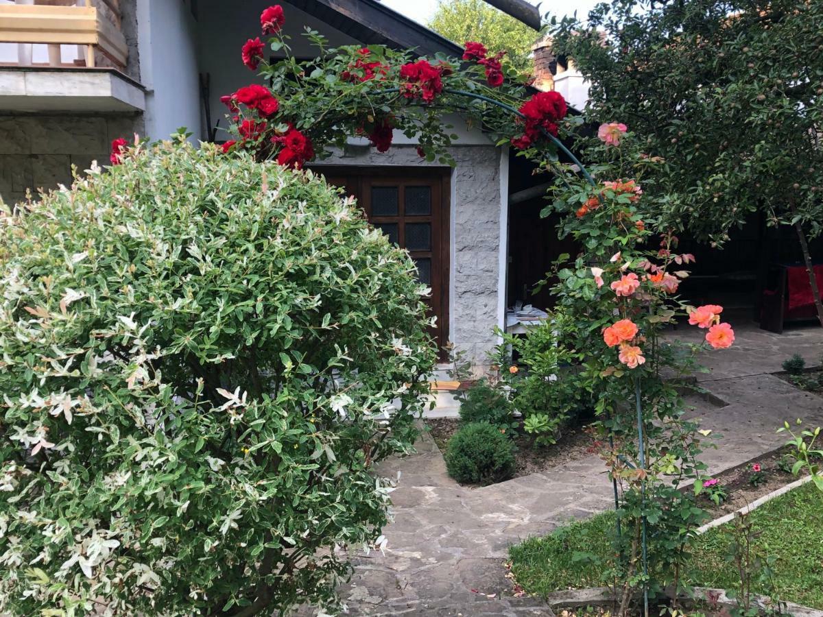 Luylyana Guesthouse Ribarica Zewnętrze zdjęcie