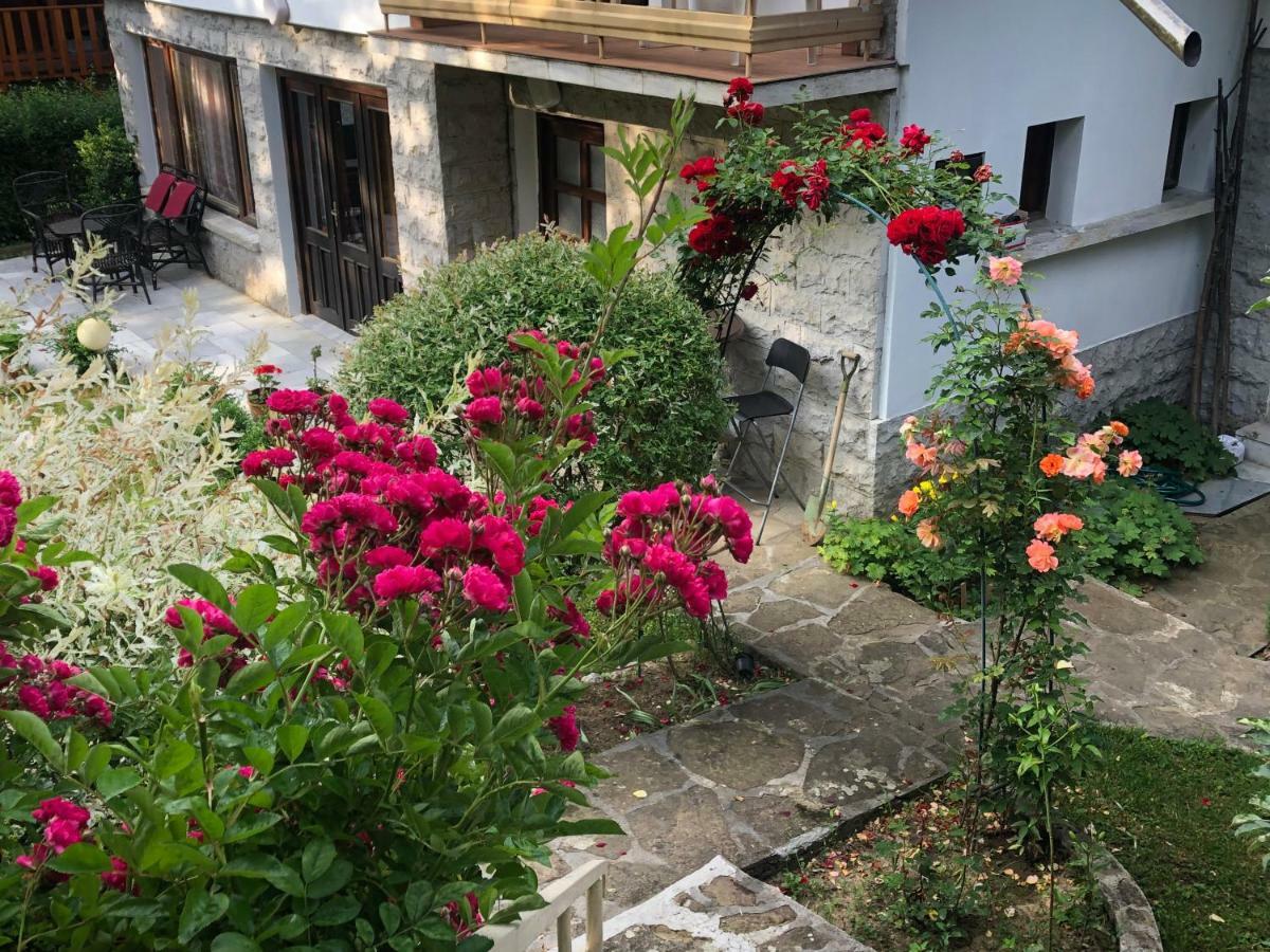 Luylyana Guesthouse Ribarica Zewnętrze zdjęcie