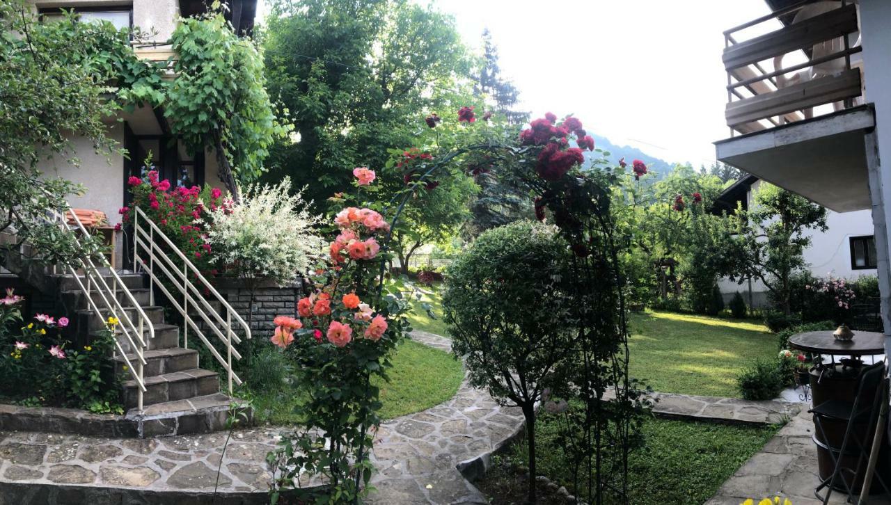 Luylyana Guesthouse Ribarica Zewnętrze zdjęcie