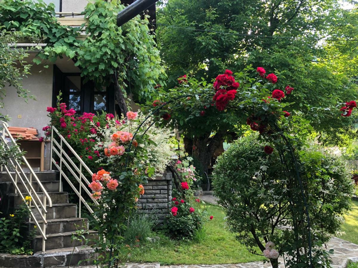 Luylyana Guesthouse Ribarica Zewnętrze zdjęcie