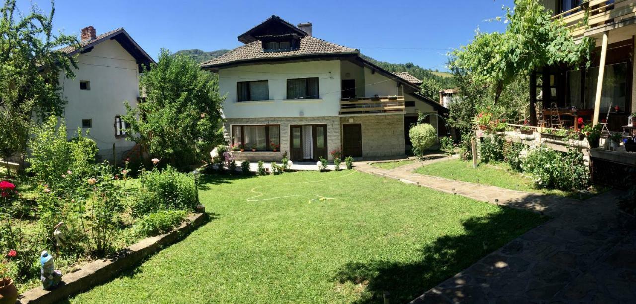 Luylyana Guesthouse Ribarica Zewnętrze zdjęcie